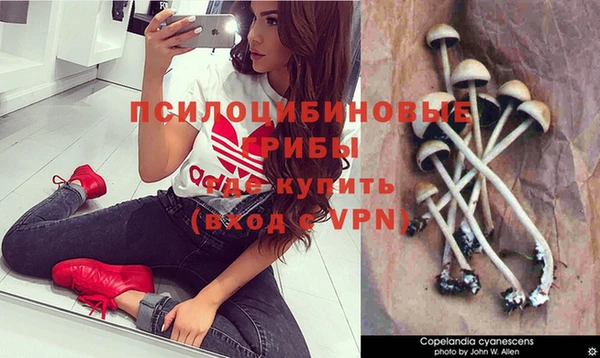 тгк Магас