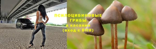 ешки Магадан
