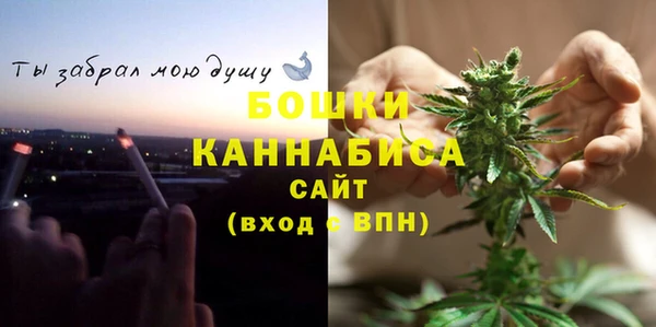 тгк Магас