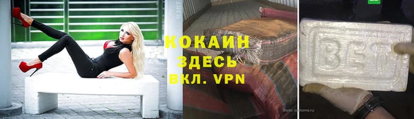 тгк Магас