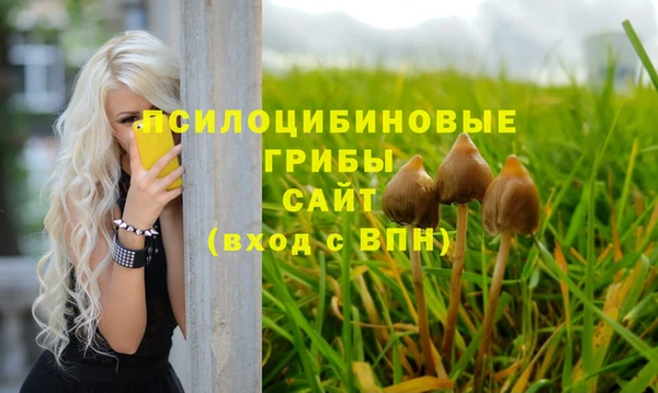 тгк Магас