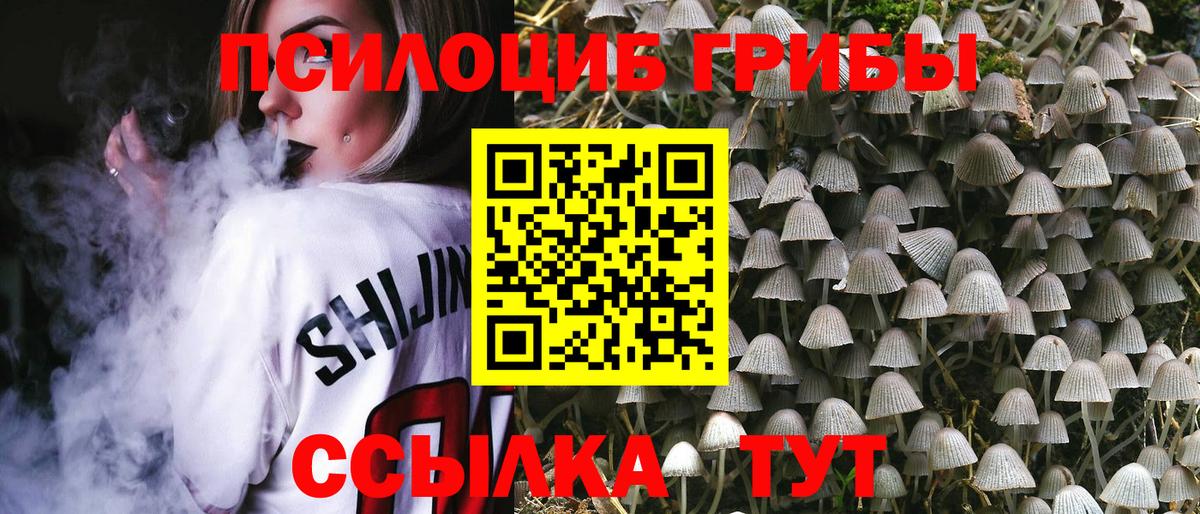 Чебаркуль  Псилоцибиновые грибы Cubensis  Вход с VPN 
