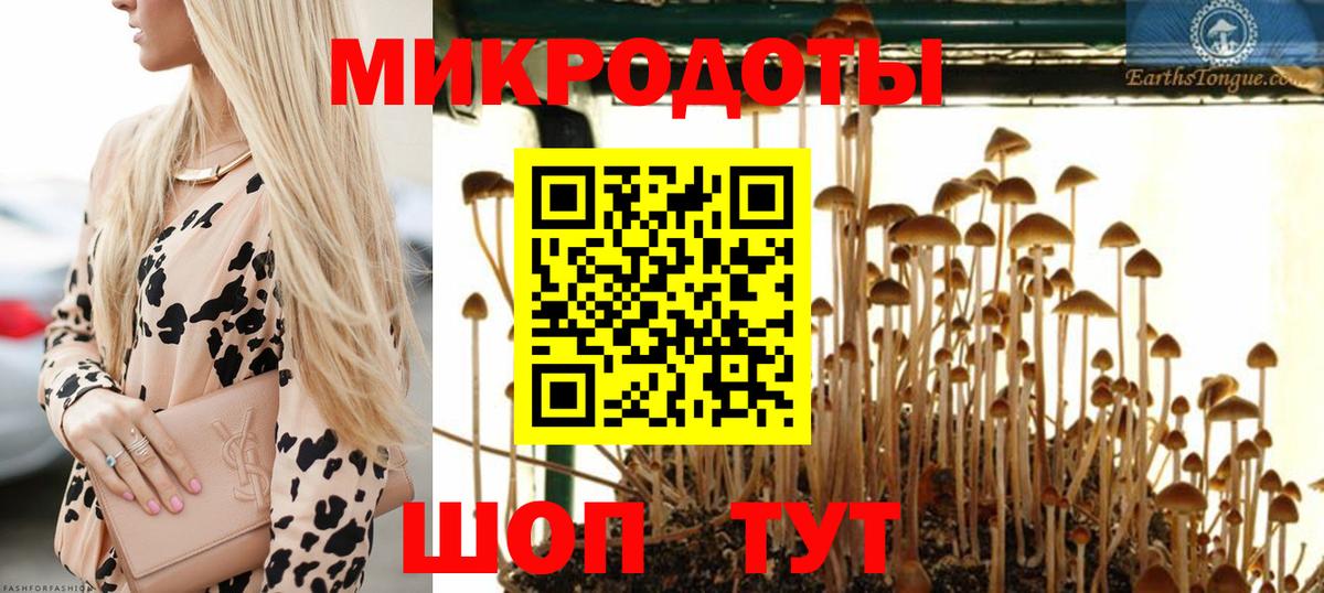 Галлюциногенные грибы Magic Shrooms Чебаркуль